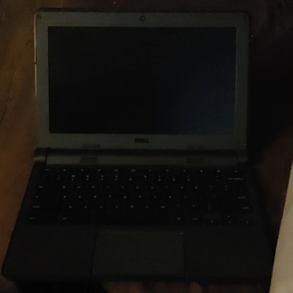 Dell chonm book